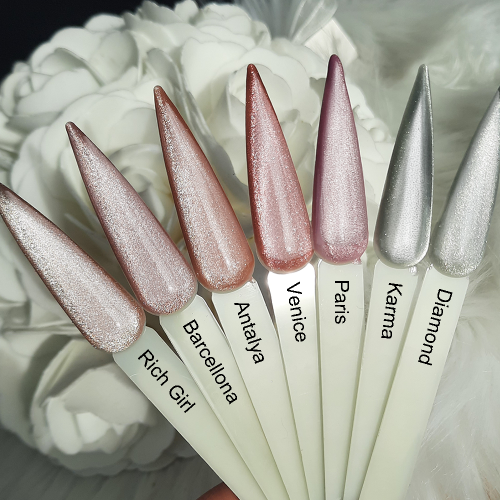 Farbpalette Cateye Gele Beige Braun Silber Nageldesign Magnetgel Cat Eye